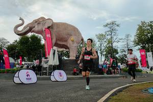 BIB: 
                            <button type="button" onclick="openModal(26528871)" class="btn btn-primary btn-sm float-right btn-popup" data-toggle="modal" data-target=".modal-high-quality">
                        <i class="fas fa-shopping-cart"></i> Add to Cart
                    </button>
                                            <button type="button" onclick="isThisMe(26528871, true)" class="btn btn-success btn-sm float-right btn-popup btn-isme hidden" data-toggle="tooltip" data-placement="bottom" title="นี่คือรูปของคุณใช่ไหม คลิกที่นี่เพื่อเอาเข้าอัลบั้ม">
                        <i class="fas fa-plus"></i> Add to album
                    </button>
                    <button type="button" onclick="isThisMe(26528871, false)" class="btn btn-warning btn-sm float-right btn-popup btn-isnotme hidden">
                        <i class="fas fa-ban"></i> Remove from album
                    </button>